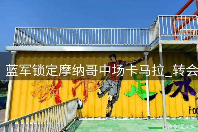 蓝军锁定摩纳哥中场卡马拉 转会费分歧达2000万欧